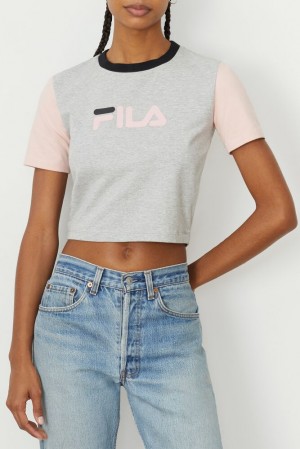 Tops Fila Anna Crop Tee Mujer Lgrym/Pskn/Blk | 701926SHD